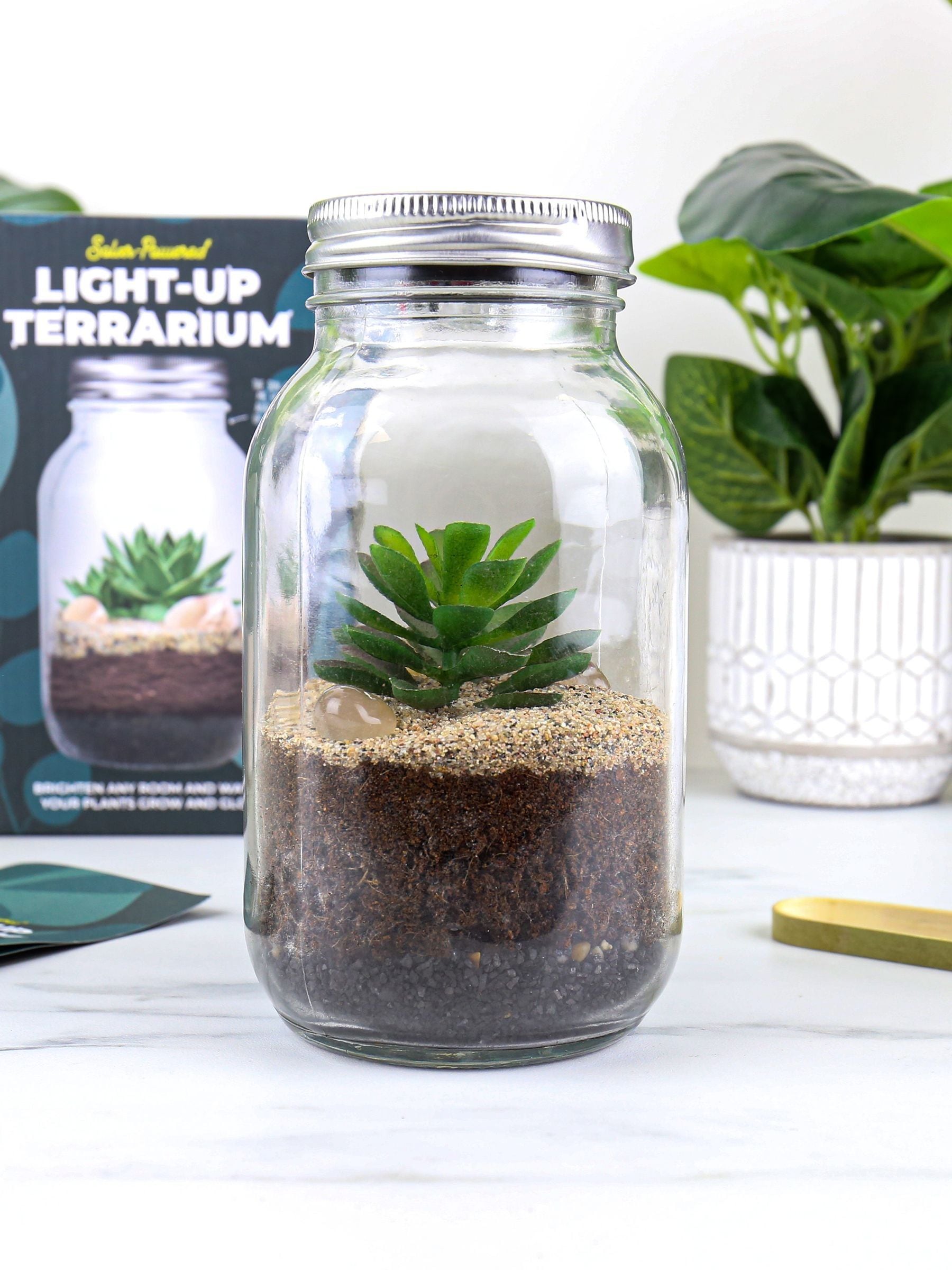 Gift Republic Blue Light Up Terrarium kit - British product