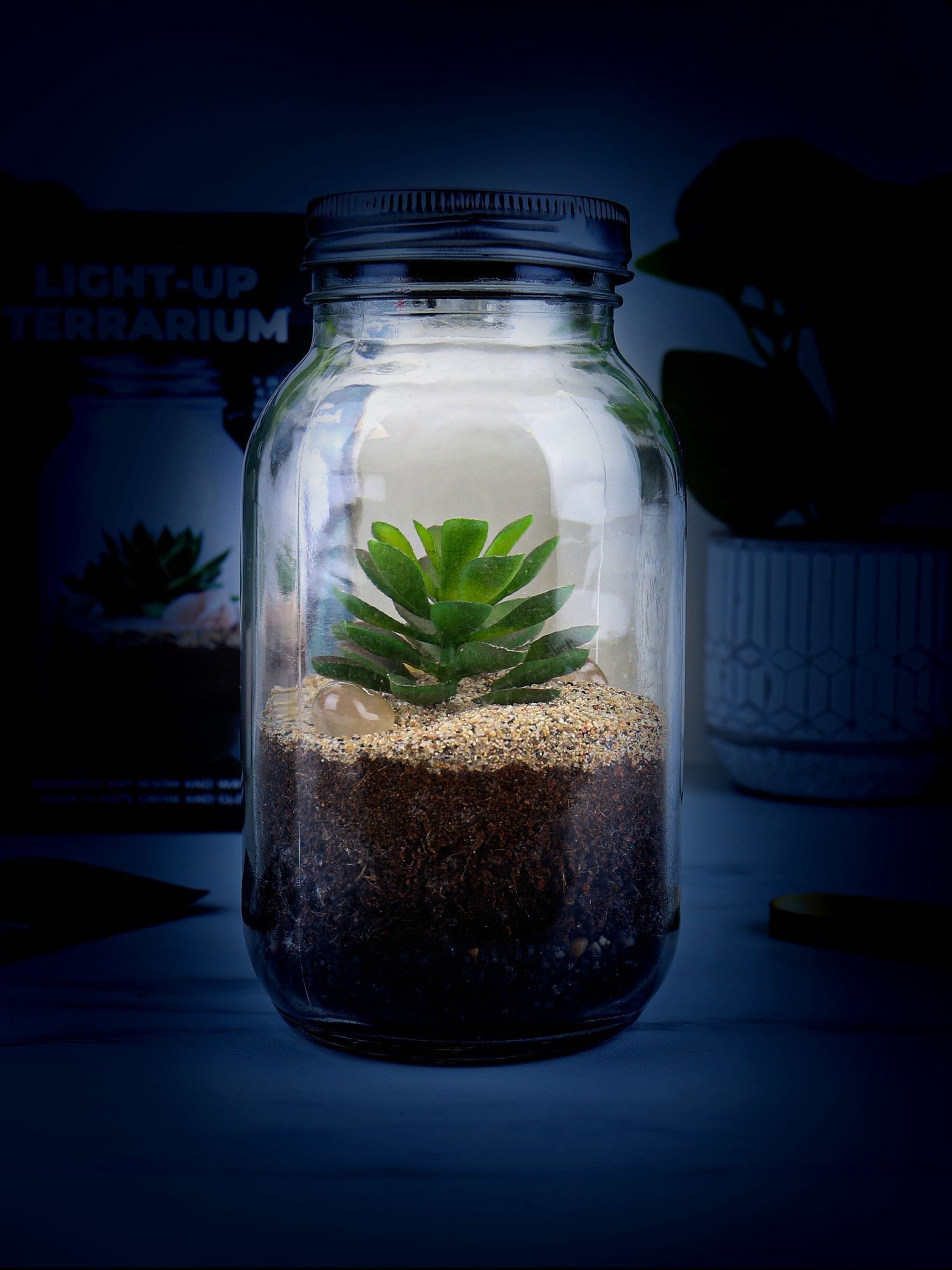 Gift Republic Blue Light Up Terrarium kit - British product