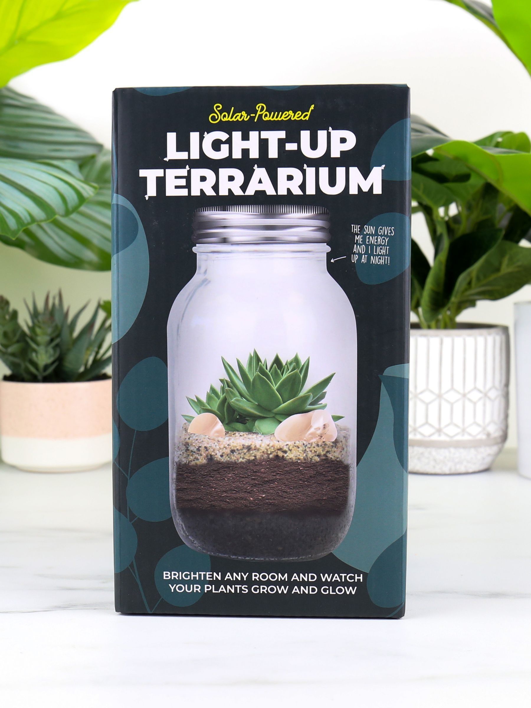 Gift Republic Blue Light Up Terrarium kit - British product