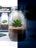 Gift Republic Blue Light Up Terrarium kit - British product
