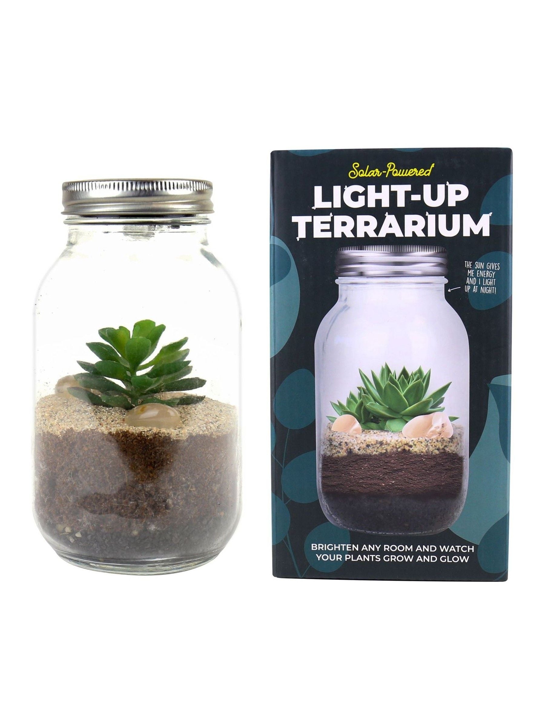 Gift Republic Blue Light Up Terrarium kit - British product