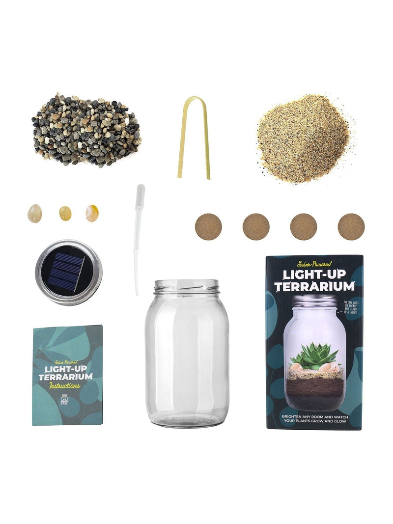 Gift Republic Blue Light Up Terrarium kit - British product