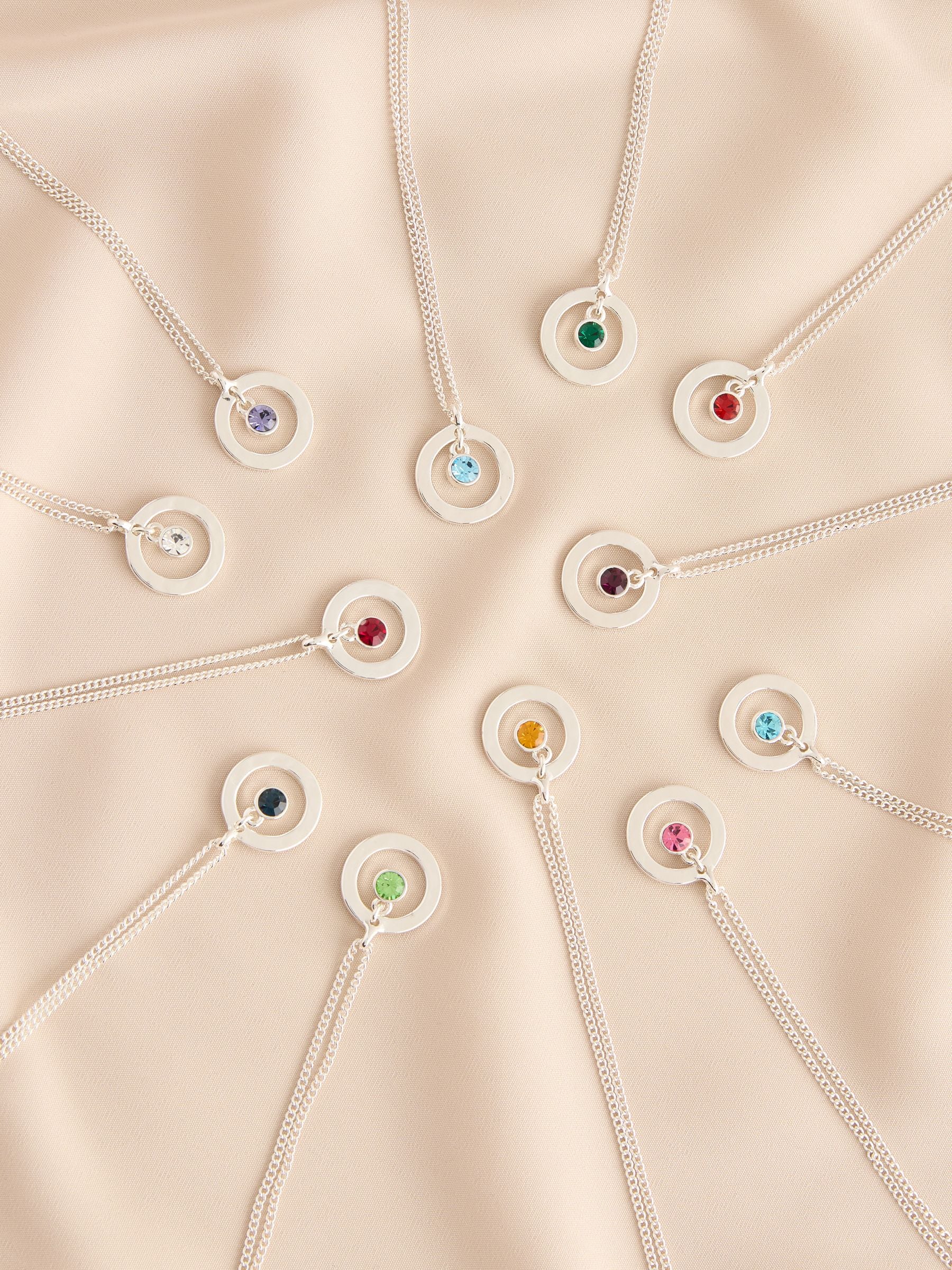 Silver-tone birthstone disc drop necklace (British brand)