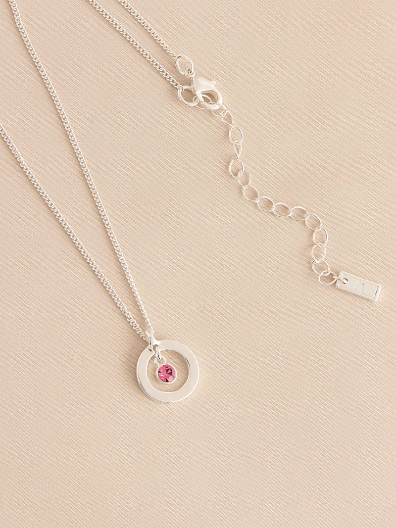 Silver-tone birthstone disc drop necklace (British brand)