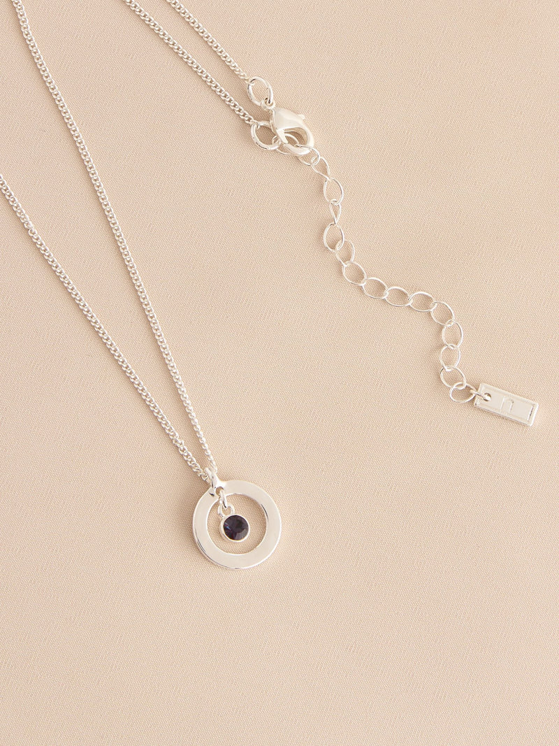 Silver-tone birthstone disc drop necklace (British brand)