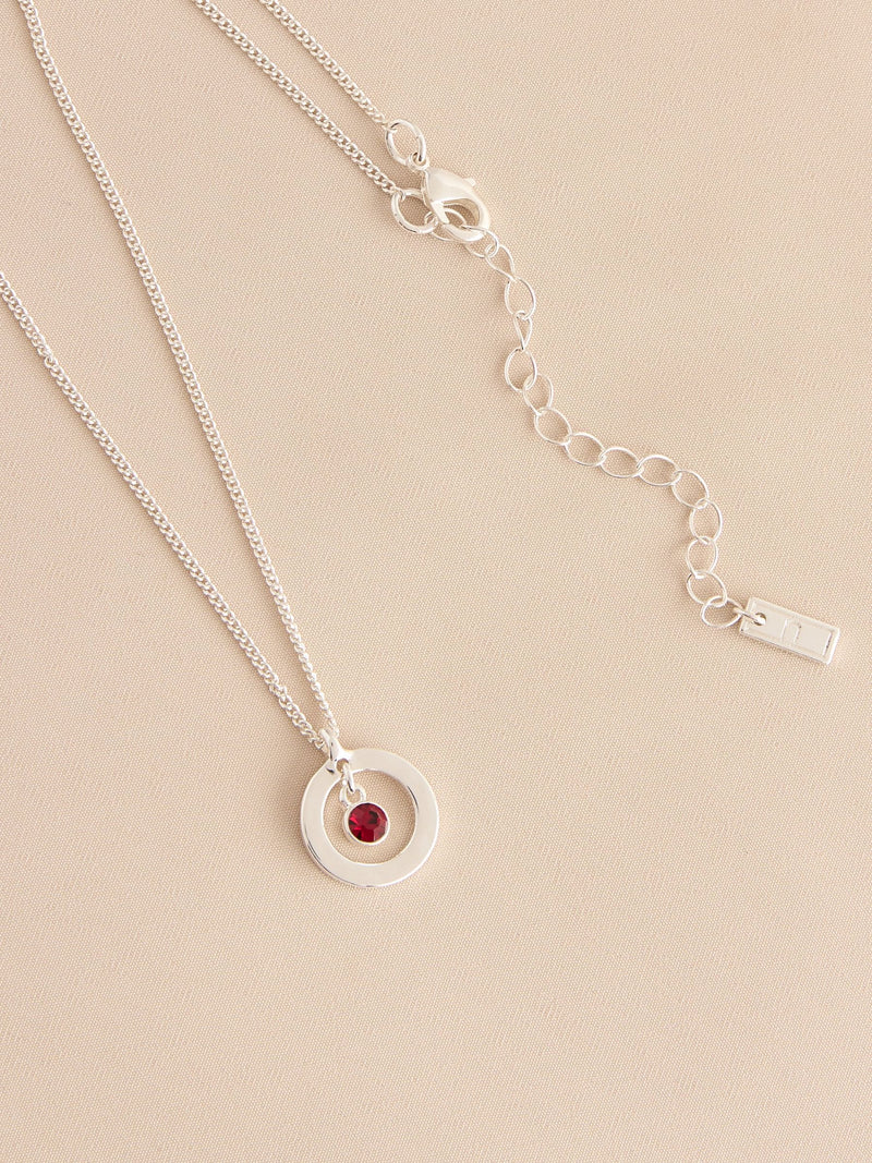Silver-tone birthstone disc drop necklace (British brand)