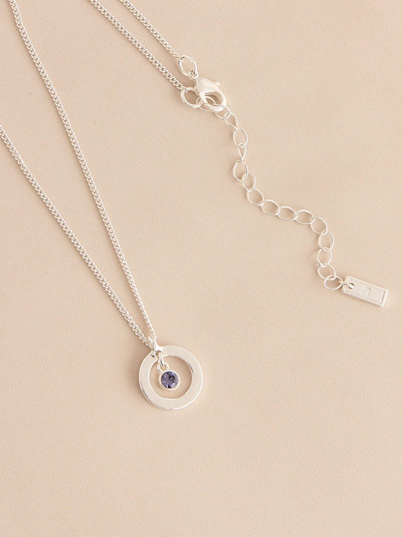 Silver-tone birthstone disc drop necklace (British brand)