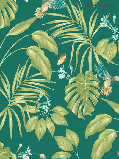 Next Ohpopsi Green Hummingbird Wallpaper Sample A4- Buy online at McGrocer