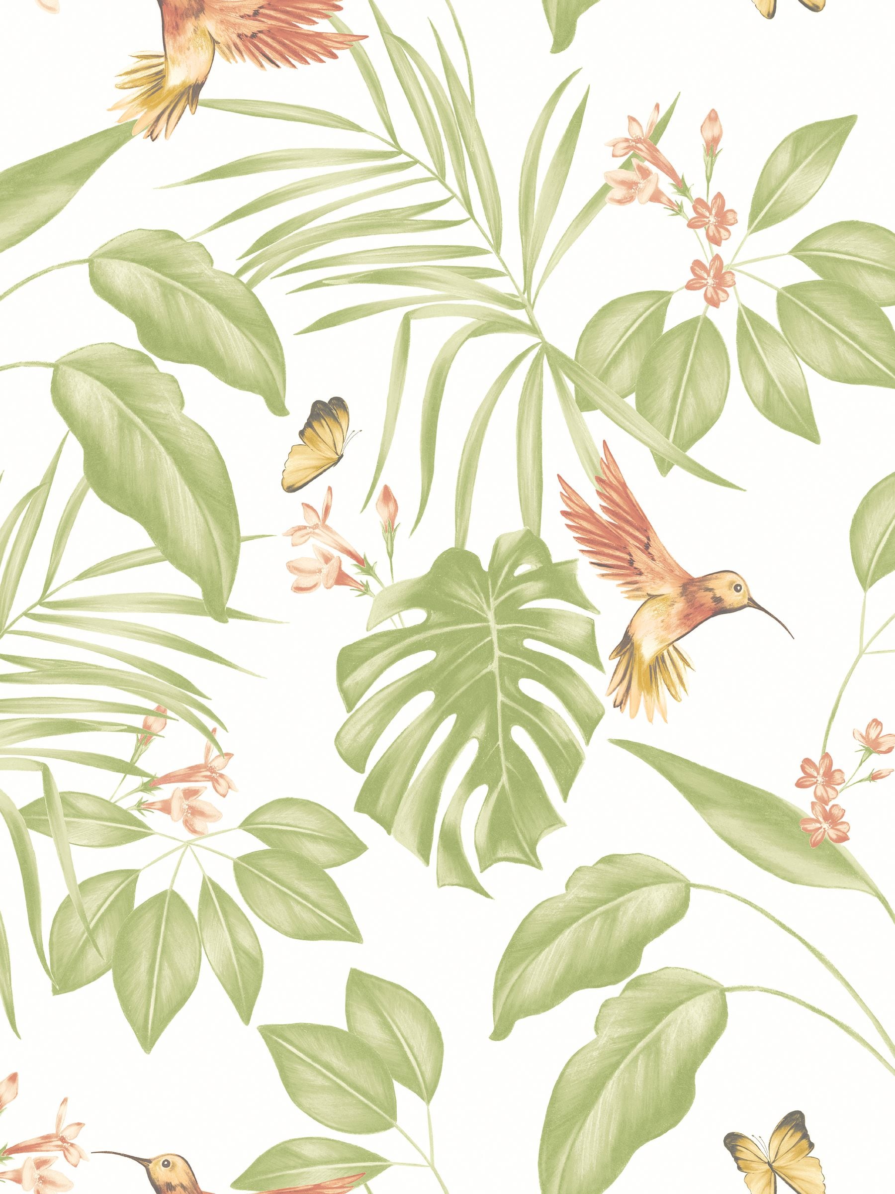 Ohpopsi Green Hummingbird wallpaper sample A4 (British brand)