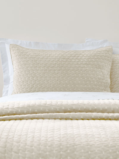 Next Bianca Natural Attica Velvet Embroidered Pillow Sham Pair- Buy online at McGrocer