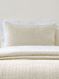 Bianca velvet embroidered pillow sham Oxford pair, imported from the UK
