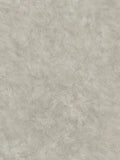 Abigail Ahern Greige Urbanite Tadelakt wallpaper sample A4 (British brand)
