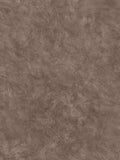 Abigail Ahern wallpaper sample Urbanite Tadelakt A4, imported from the UK