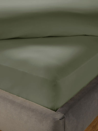 Drap-housse de lit extensible extra profond en coton pur Silentnight 40 cm sauge Next - Achetez en ligne sur McGrocer