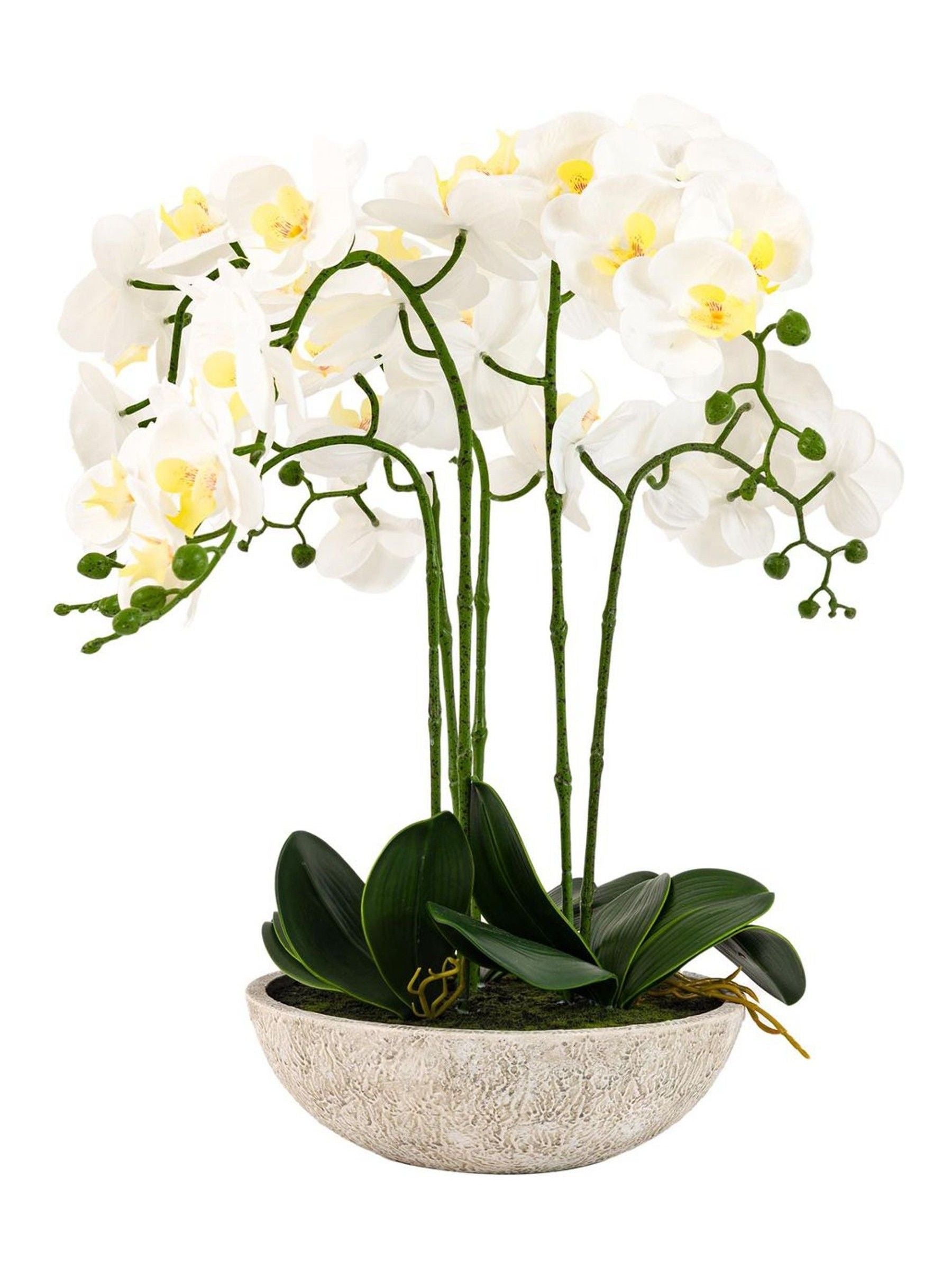 Gallery Home white oversized orchid in cement style pot 65cm, UK version