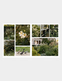 Wonderlands hardback book British gardens, imported from the UK