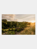 Wonderlands hardback book British gardens, imported from the UK