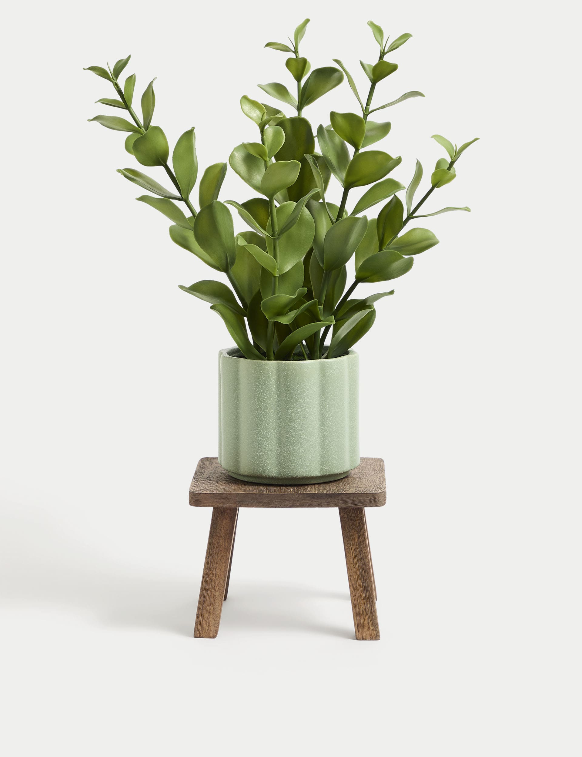 Wooden planter stand for indoor plants (British brand)