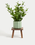 Wooden planter stand for indoor plants (British brand)