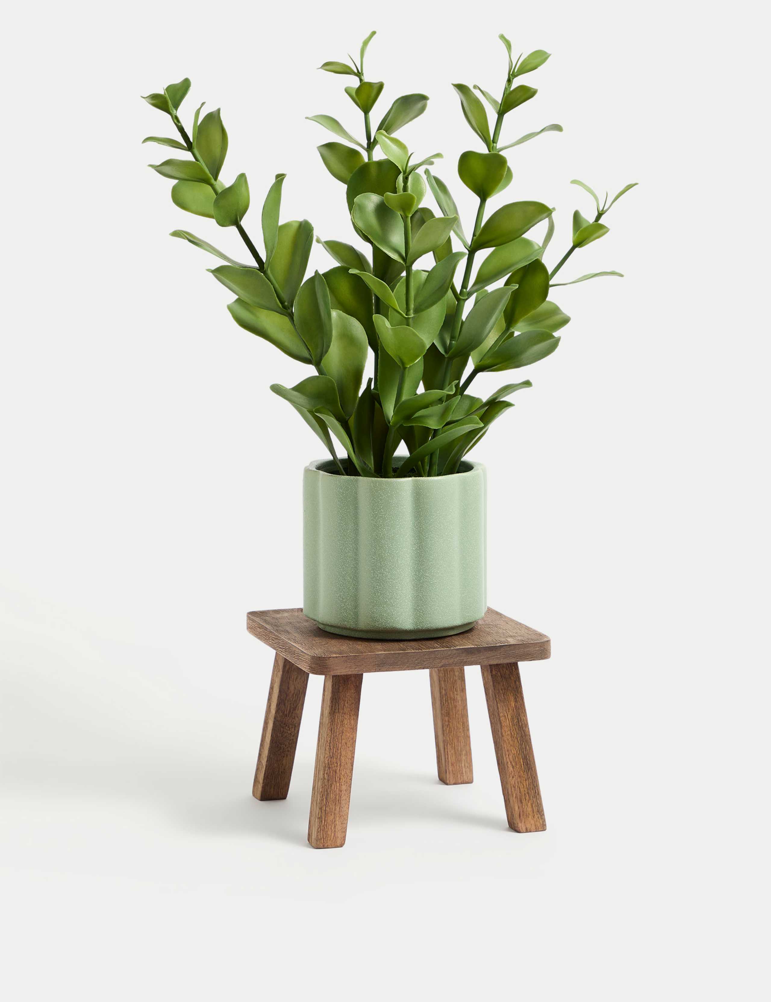 Wooden planter stand for indoor plants (British brand)