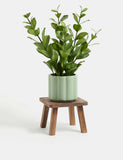Wooden planter stand for indoor plants (British brand)