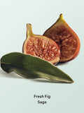 Victoria's Secret Fresh Fig Sage body mist 236ml (British brand)
