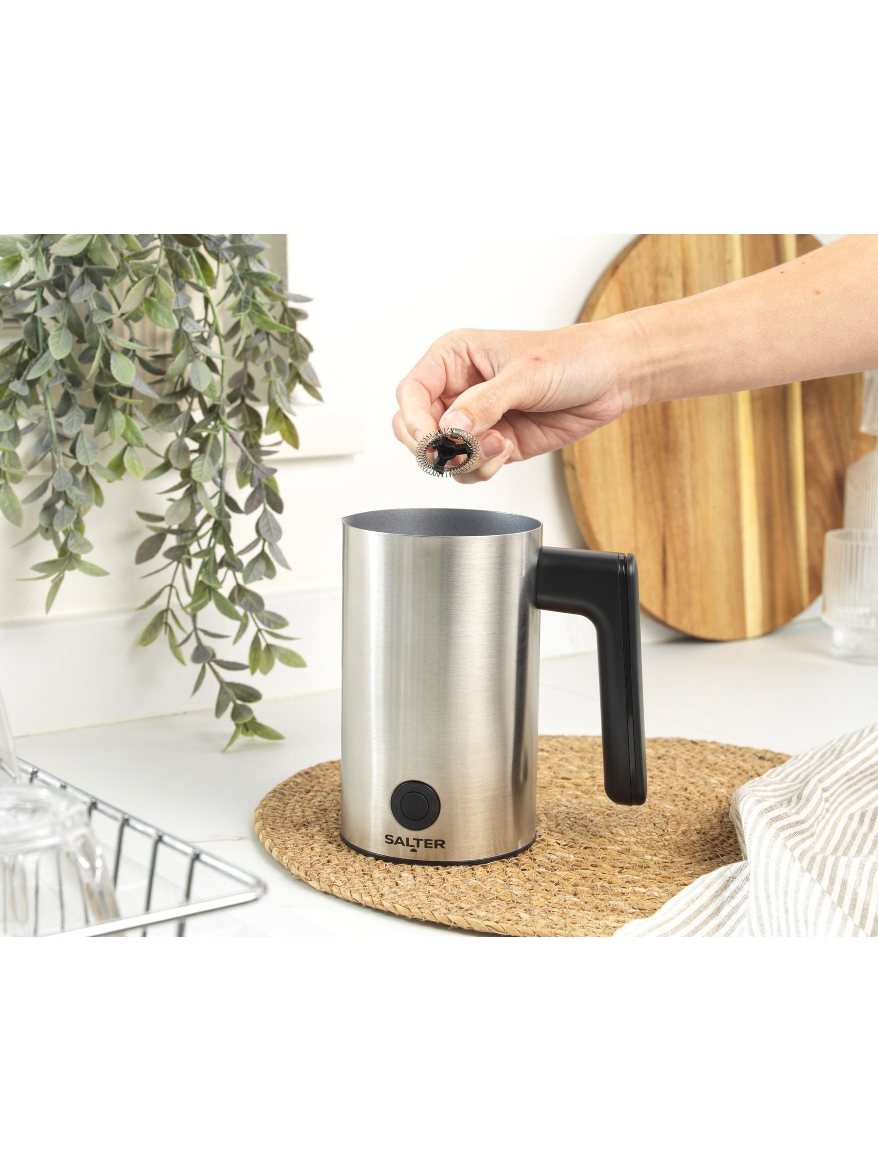 Salter Silver Stainless Steel Milk Frother