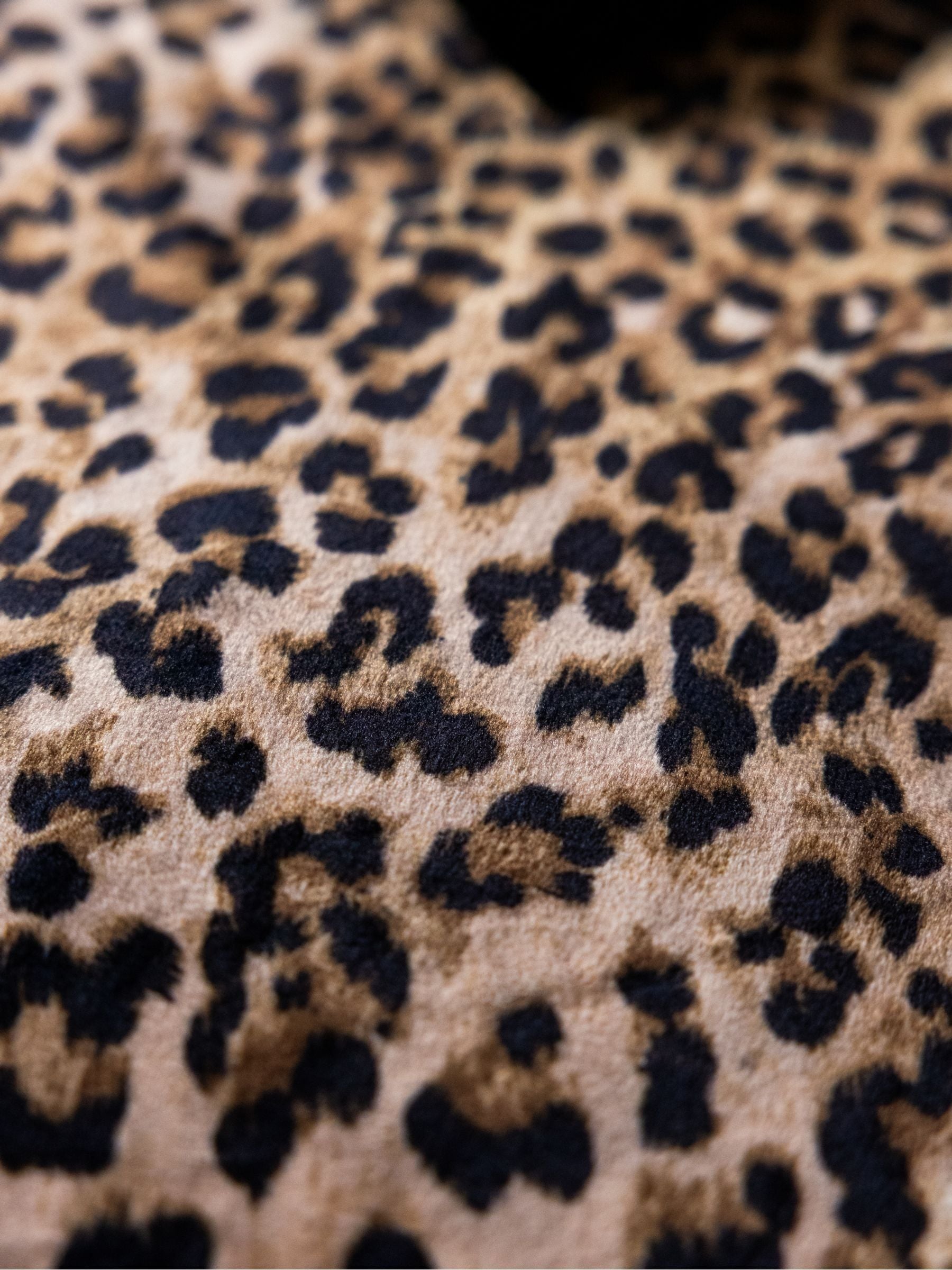 Rockett St George leopard print velvet throw 150x120cm - British product