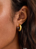 Accessorize Gold Stainless Steel Mixed Metal Hoop Earrings