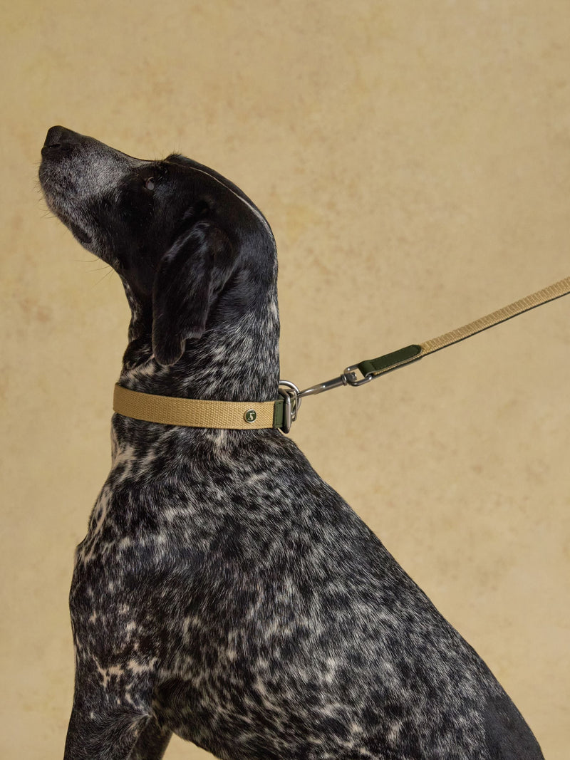 Joules khaki green pet lead, imported from the UK