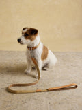 Joules Tan Brown Pet Lead