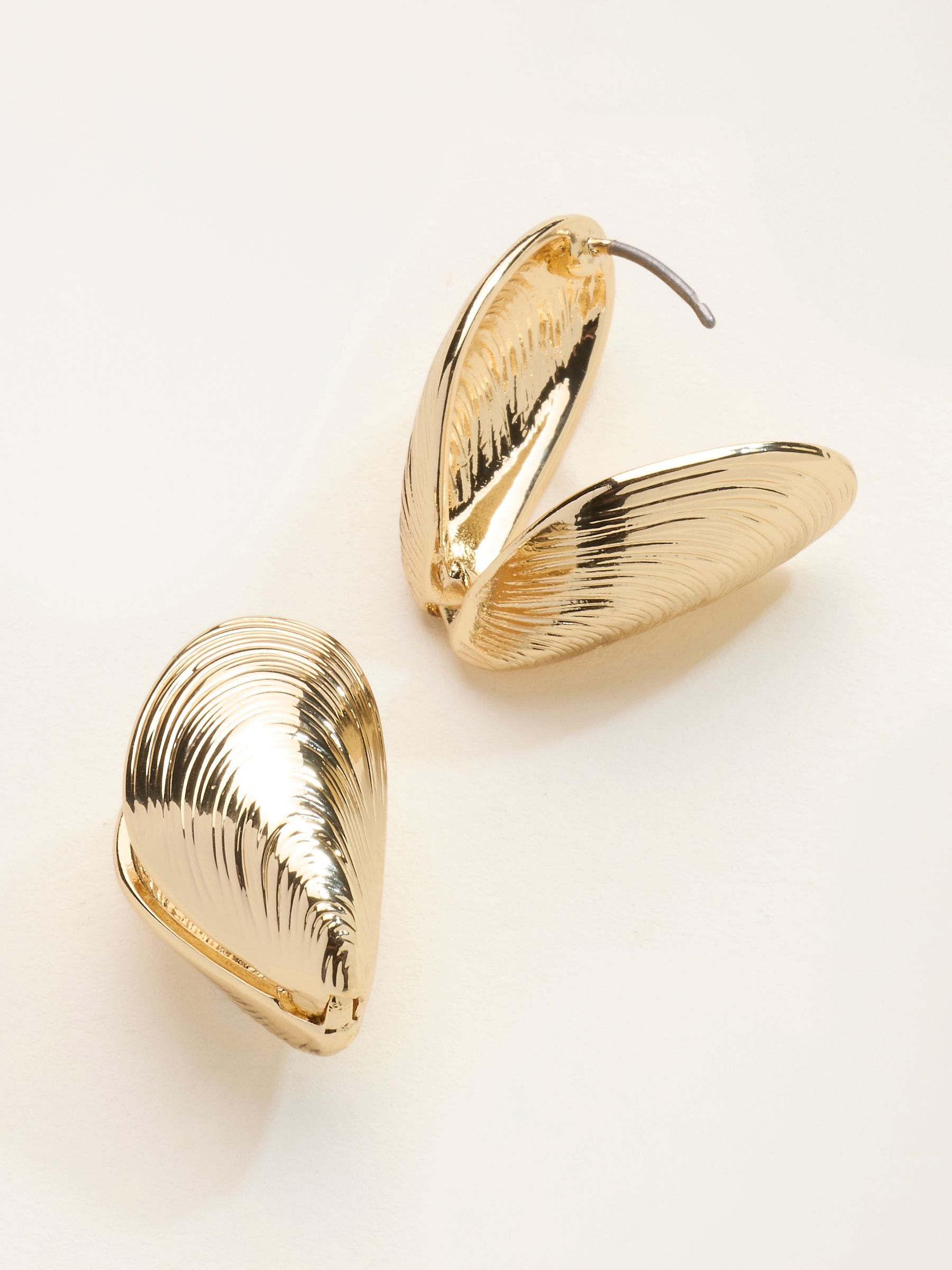 FatFace gold tone large shell earrings - British product
