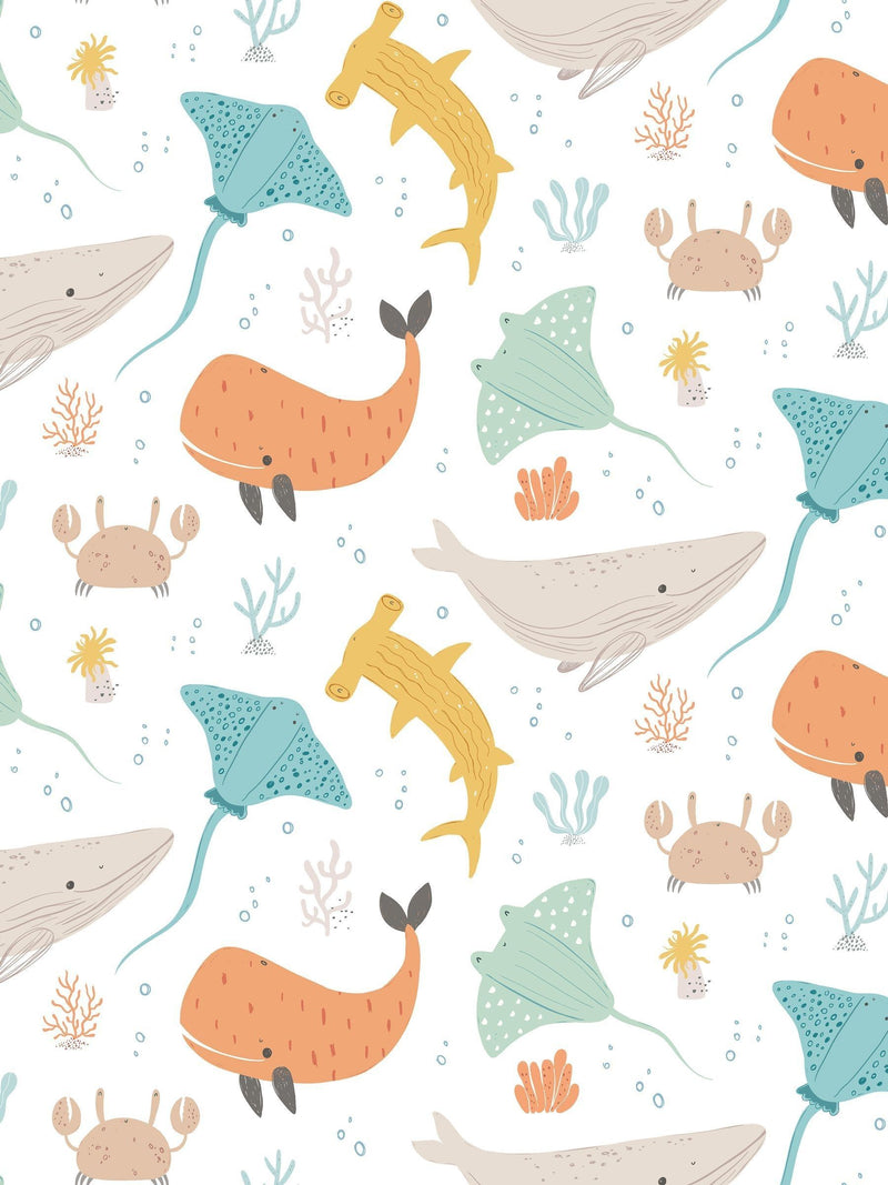 Hoopla Walls Seafoam Spice Ocean Adventure A4 Wallpaper Sample