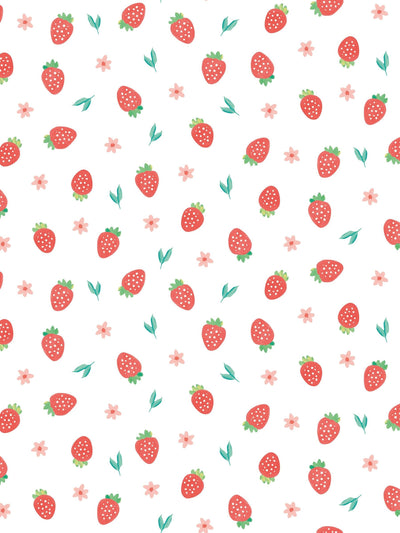 McGrocer Hoopla Walls Scarlet Strawberry Sprinkles A4 Wallpaper Sample- Buy online at McGrocer