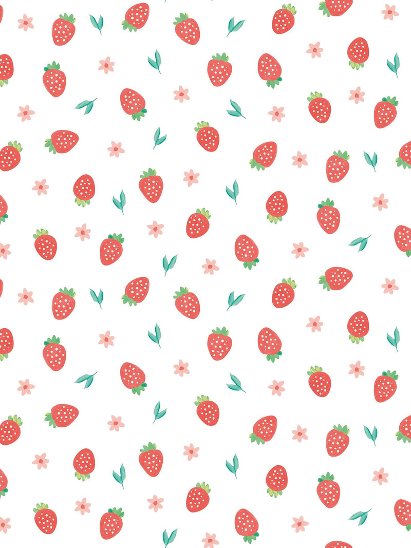 Hoopla Walls Scarlet Strawberry Sprinkles A4 Wallpaper Sample