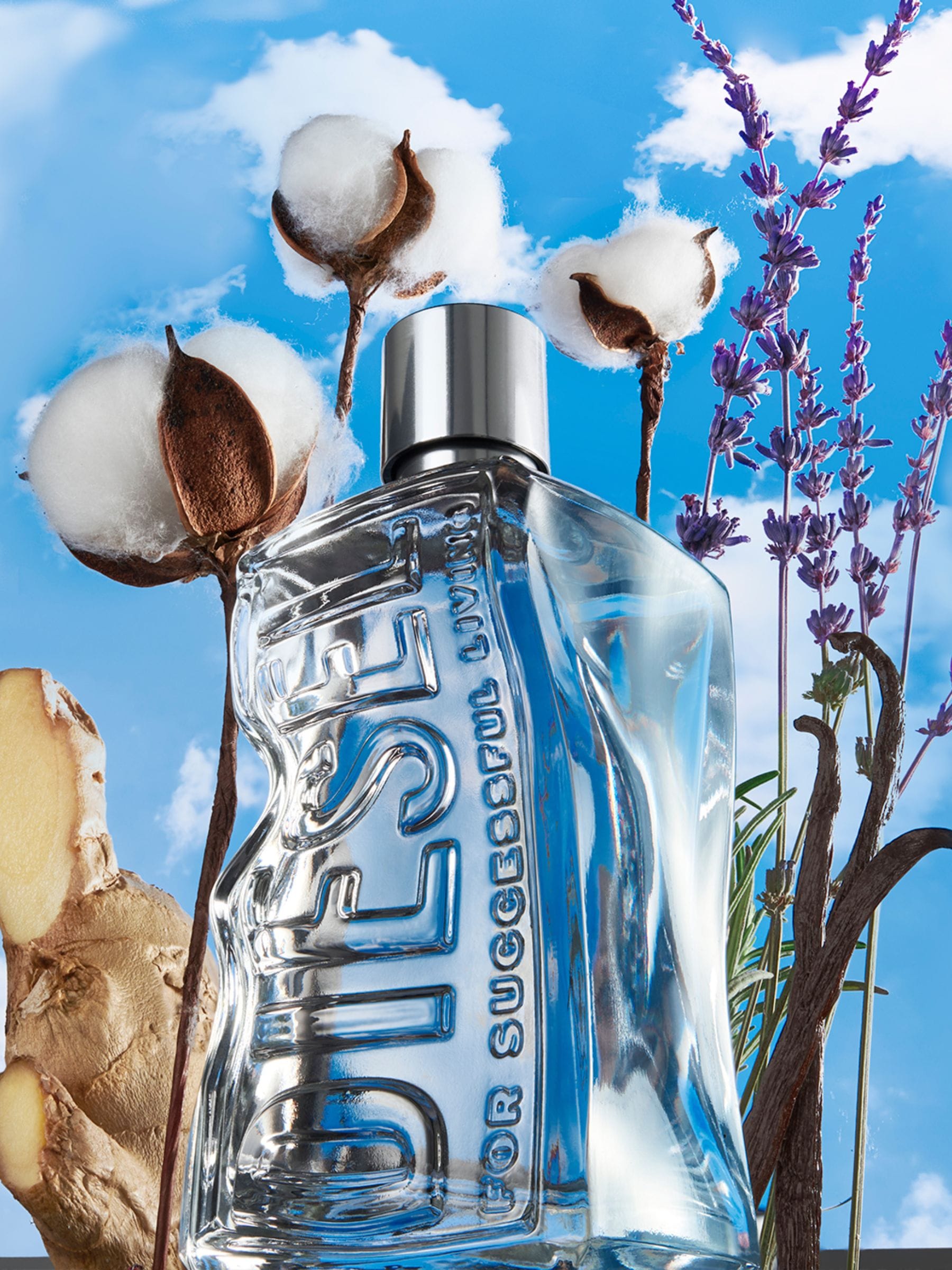 Diesel D Eau de Toilette gift set 50ml, UK version