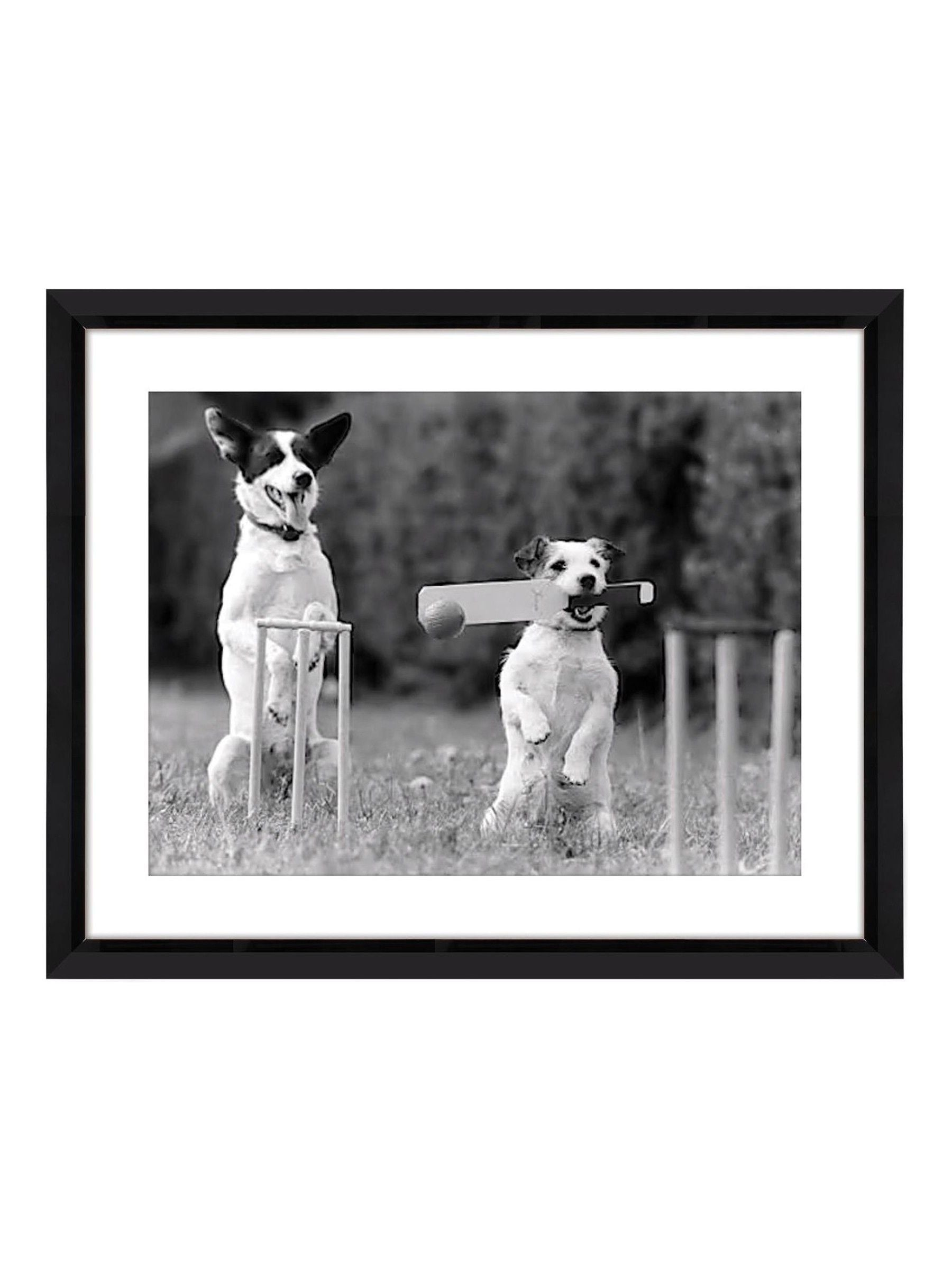 Brookpace Lascelles wall art Cricket in the Park 50x40cm imported from UK
