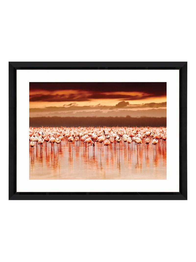 Brookpace Lascelles wall art flamingo design 81x61cm, imported from the UK