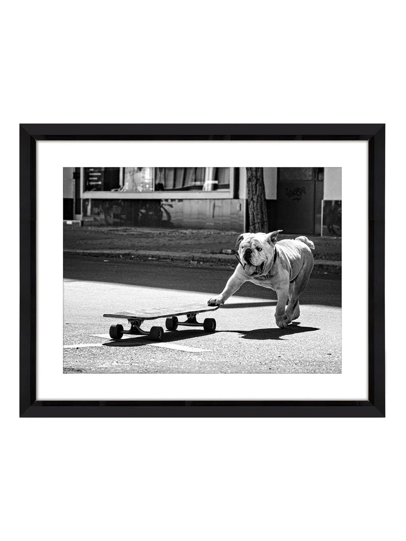 Brookpace Lascelles Park Life wall art black white 50x40cm, UK version