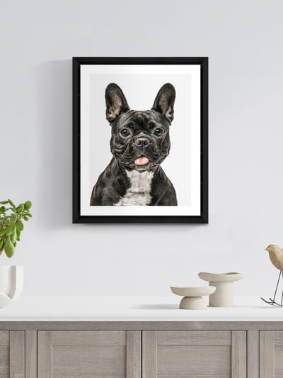 Next Brookpace Lascelles Photogenic Dog Scandi Wall Art Black/White Studio Frame 40 x 50cm- Buy online at McGrocer