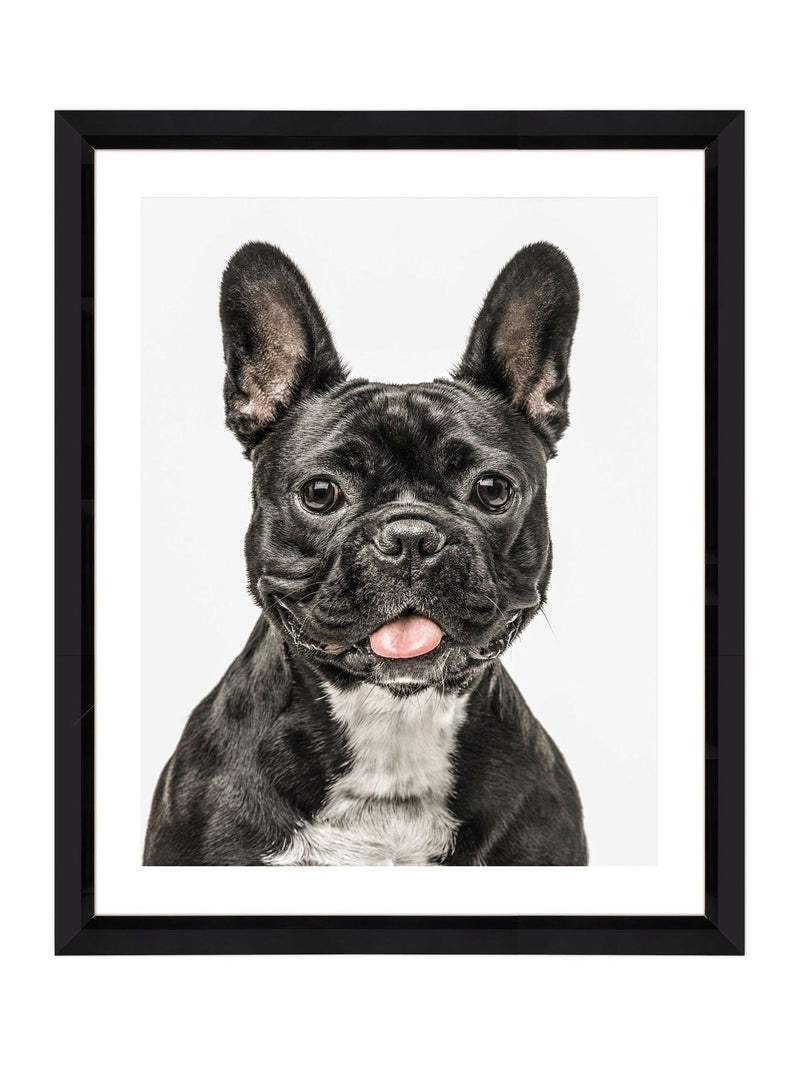 Brookpace Lascelles black white dog wall art 40x50cm - British product