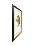 Brookpace Lascelles wall art Multi Black 40x50cm - British product