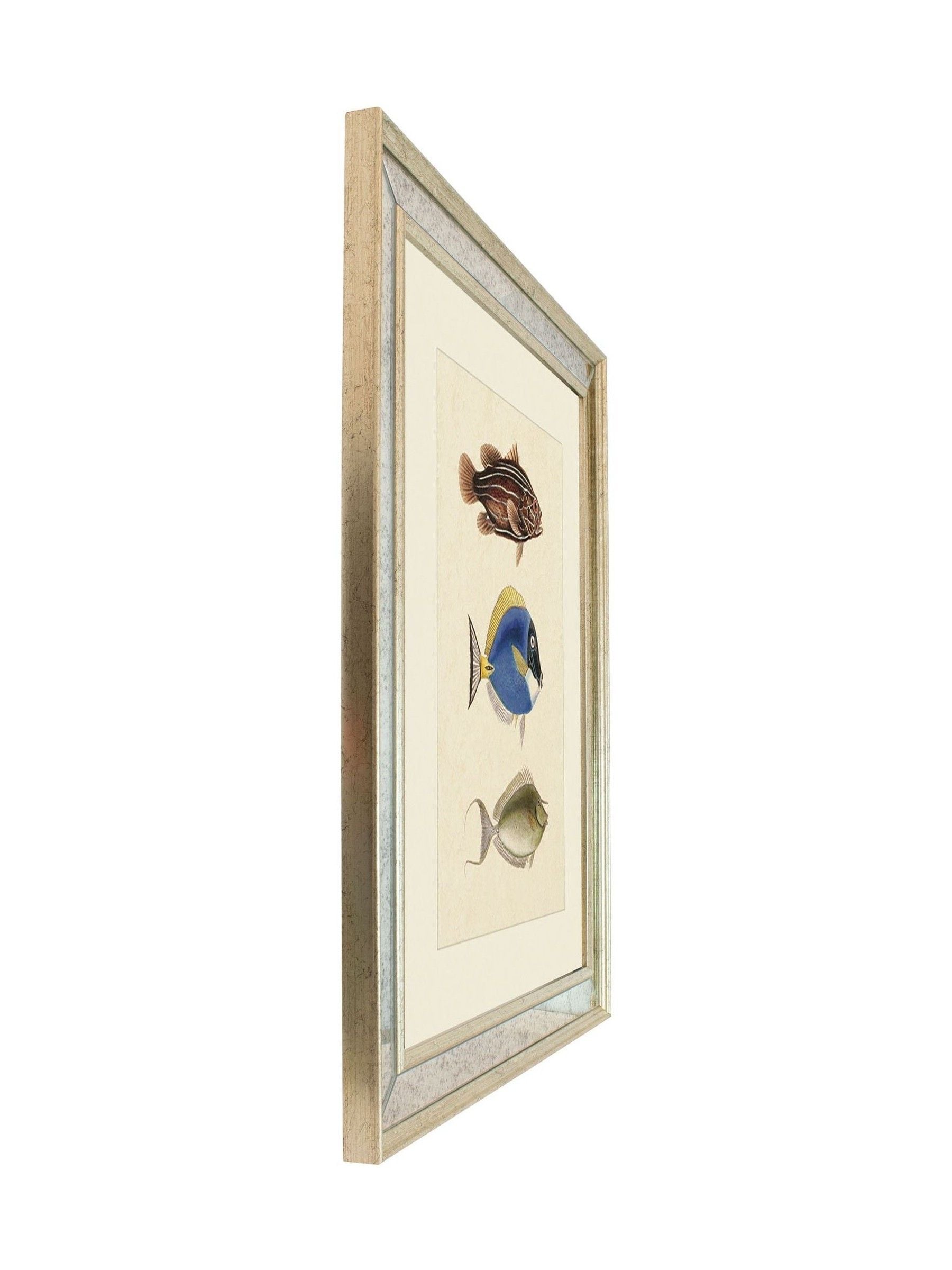 Brookpace Fish III archive picture 40x50cm wall art, UK version