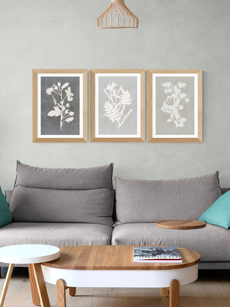 East End Prints White Botanical Illustration Triptych Framed Wall Art