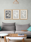 East End Prints White Botanical Illustration Triptych Framed Wall Art