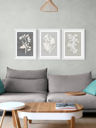 Next East End Prints White Botanical Illustration Triptych Framed Wall Art- Buy online at McGrocer