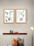 Cartissi Set of 2 Black Forest Floor Finds Wall Art Prints