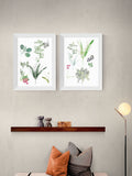 Cartissi Set of 2 Black Forest Floor Finds Wall Art Prints