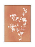 Graham & Brown Flower Press Orange framed wall art, UK version