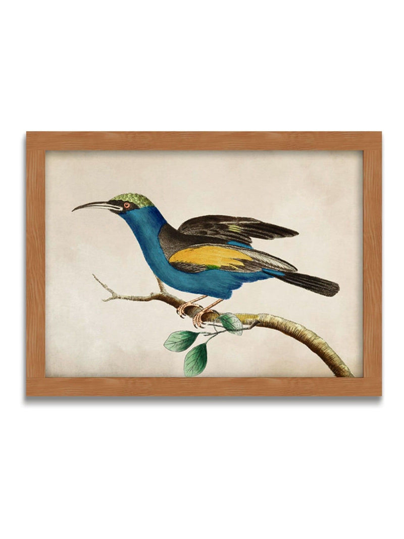 Graham & Brown Ready for Flight bird framed art, UK version